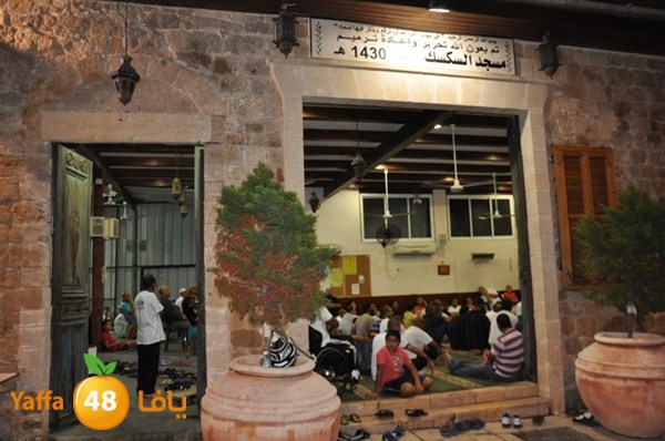 mosabakas eksek (46).JPG